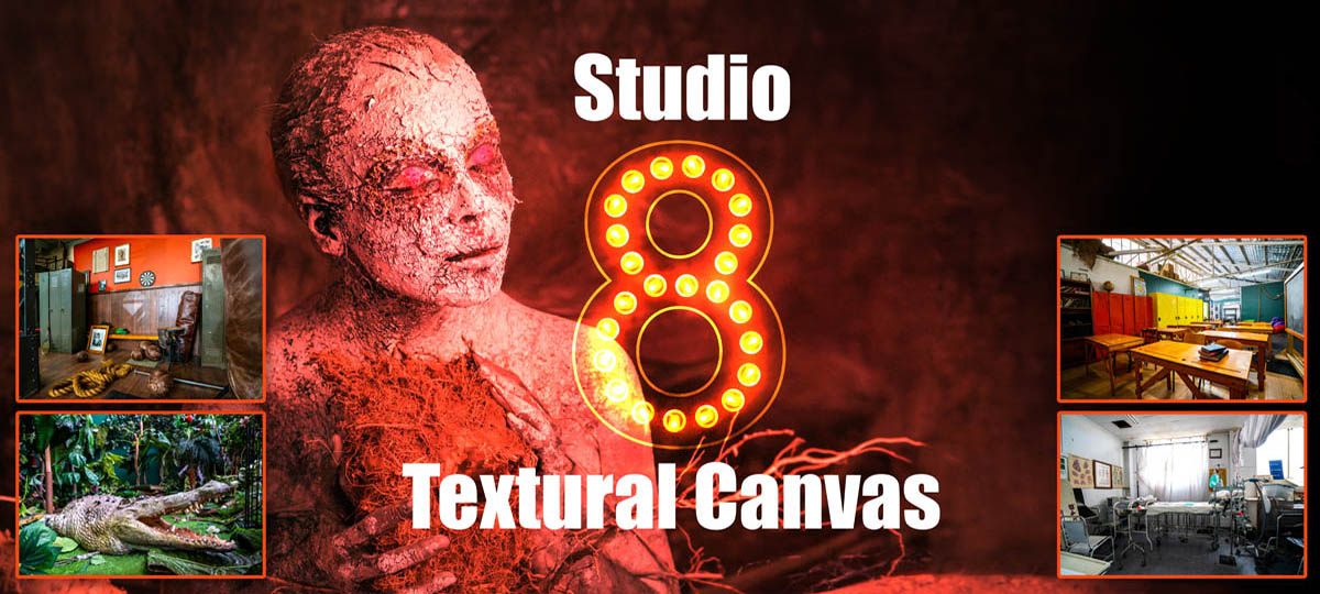 Studio 8 Textural Canvas